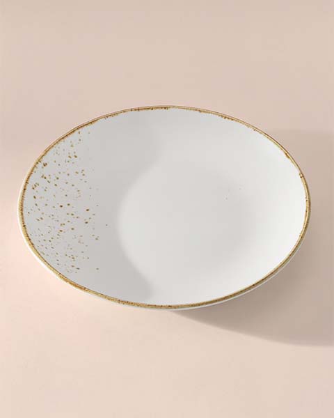 Gold Splatter Dinner Plate Set of 2