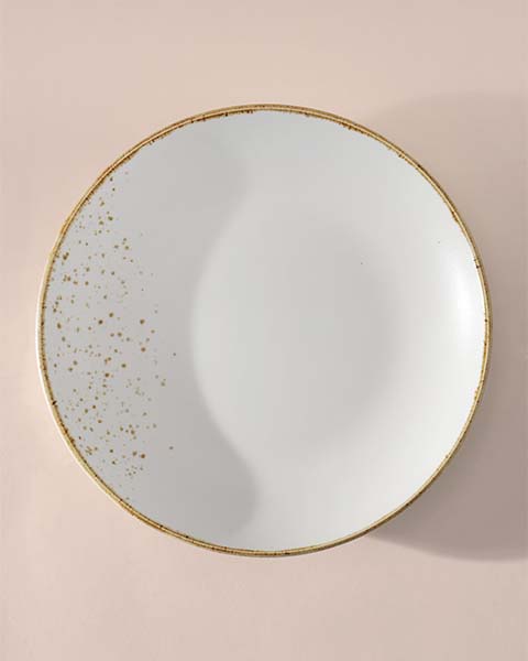 Gold Splatter Dinner Plate Set of 2